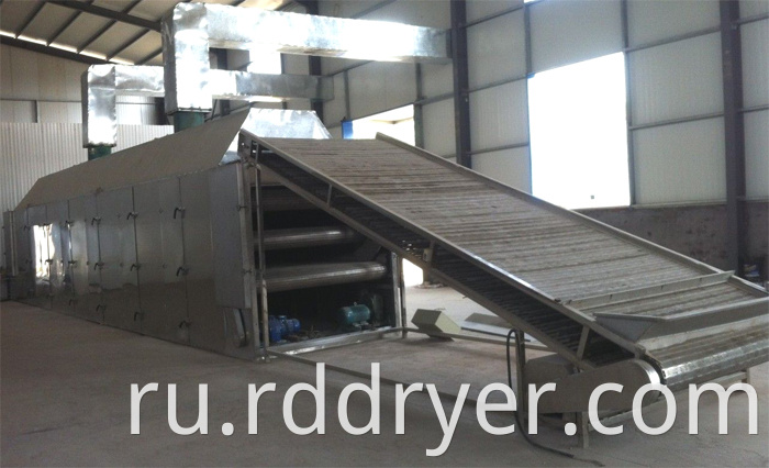 Mesh Belt Dryer/all kinds grain dryer